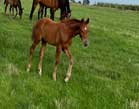 IMG-20240207-WA0032