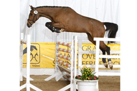 Freispringchampionat
