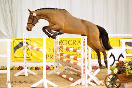 Freispringchampionat