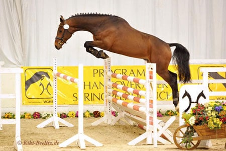Freispringchampionat