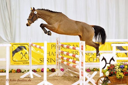 Freispringchampionat