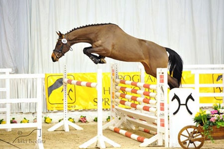 Freispringchampionat
