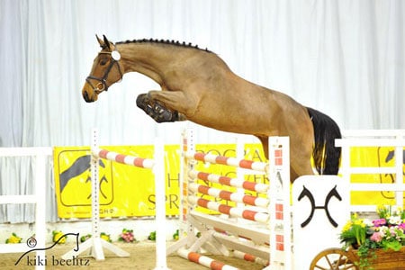 Freispringchampionat