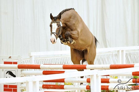 Freispringchampionat