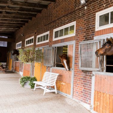 Almost Famous und Valencia im Reitstall Johannsen