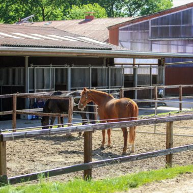 Reitanlage Johannsen