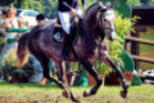 Lady Gala