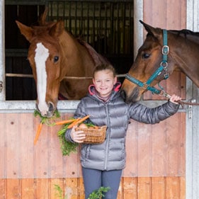 Reitanlage in Daensen - Hier koennen Sie reiten