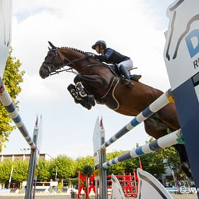 Sportpferde in Deansen